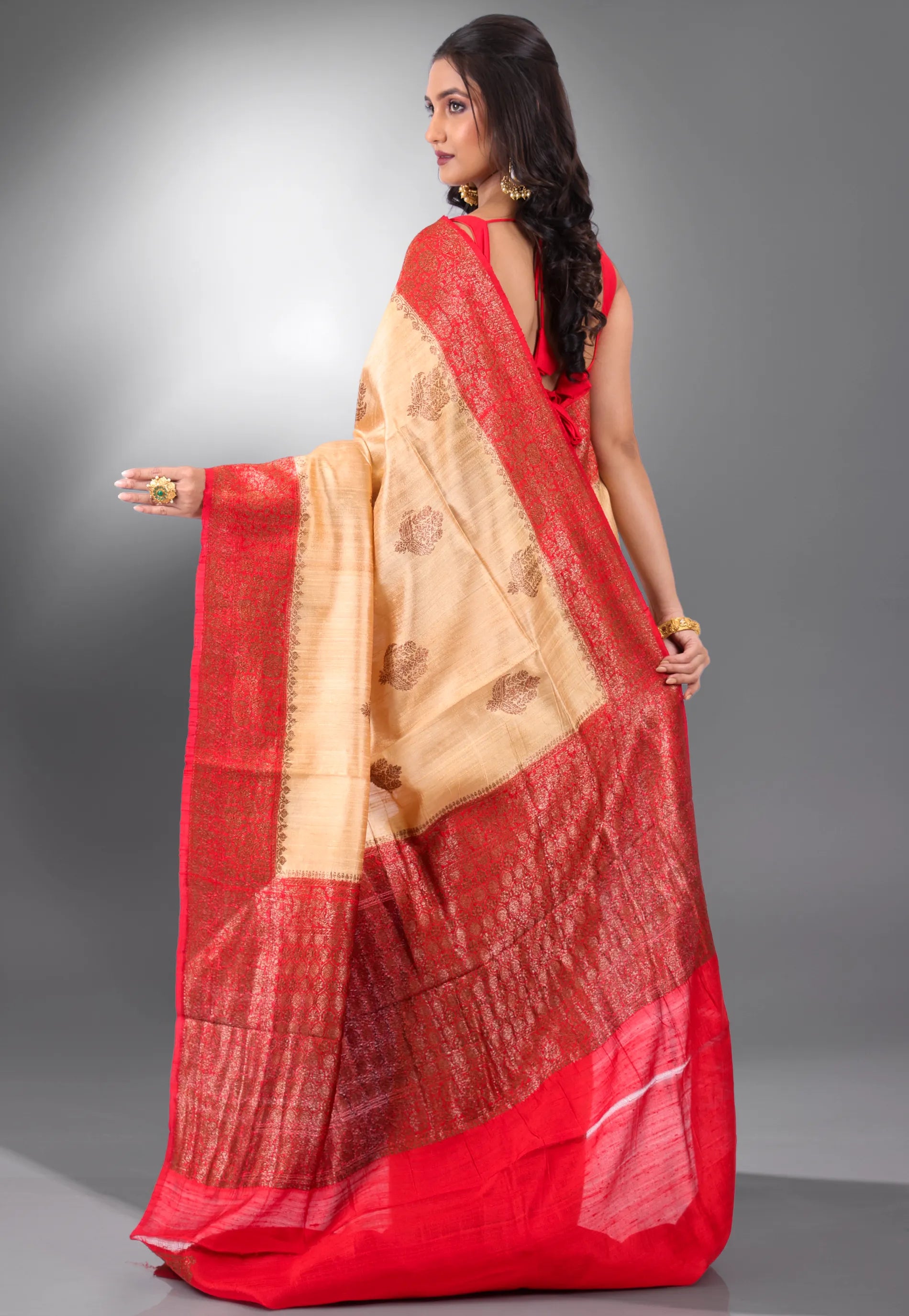 Tussar Colour with Red Border Pure Tussar with Blouse Piece - Adi Akshoy & Co.