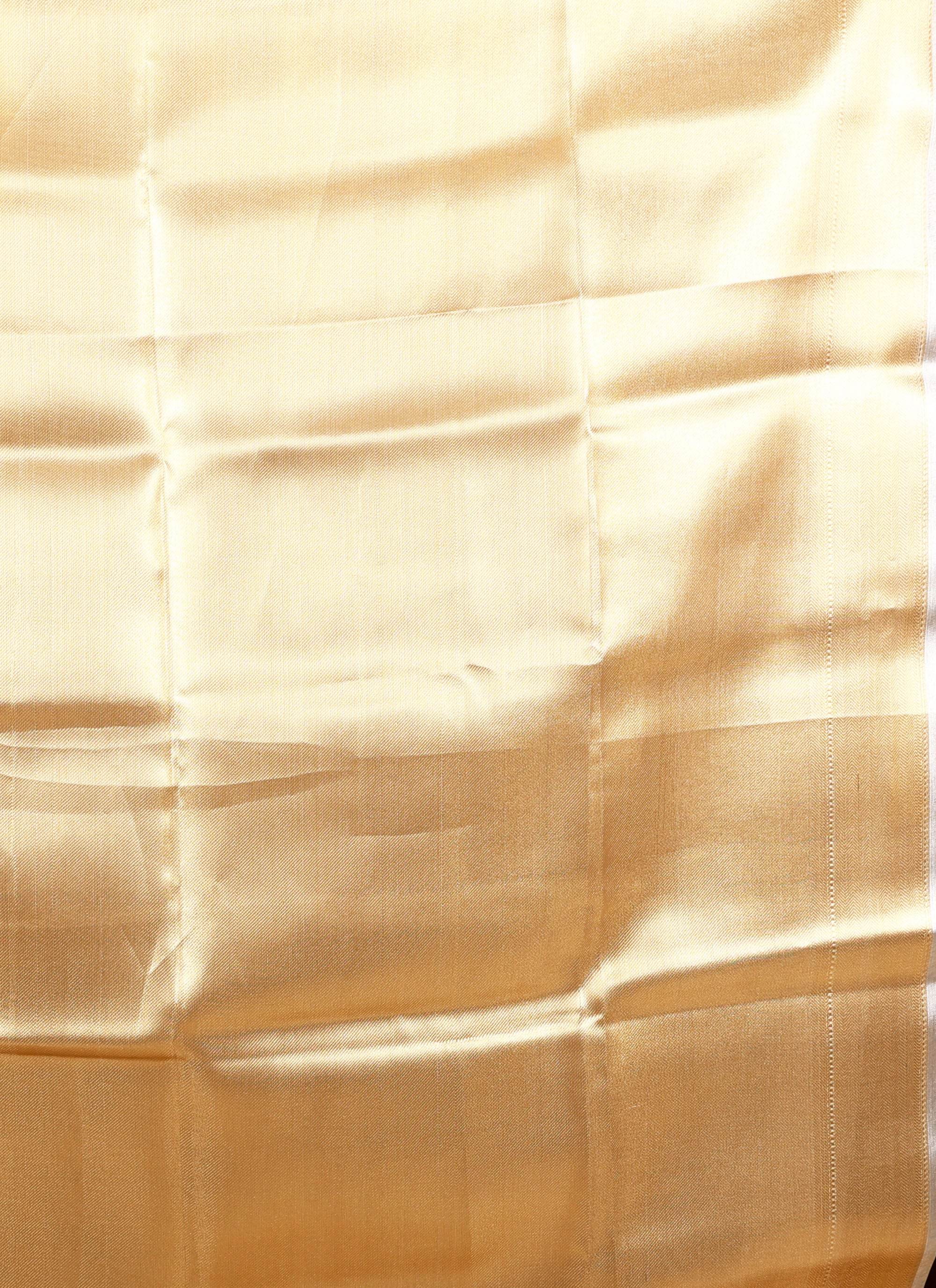 Gold Tissue Kanjivaram Silk Saree With Blouse Piece - Adi Akshoy & Co.