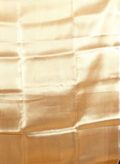 Gold Tissue Kanjivaram Silk Saree With Blouse Piece - Adi Akshoy & Co.