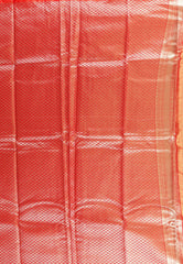 Green with Red Border Tissue Kanjivaram Silk Saree With Blouse Piece - Adi Akshoy & Co.