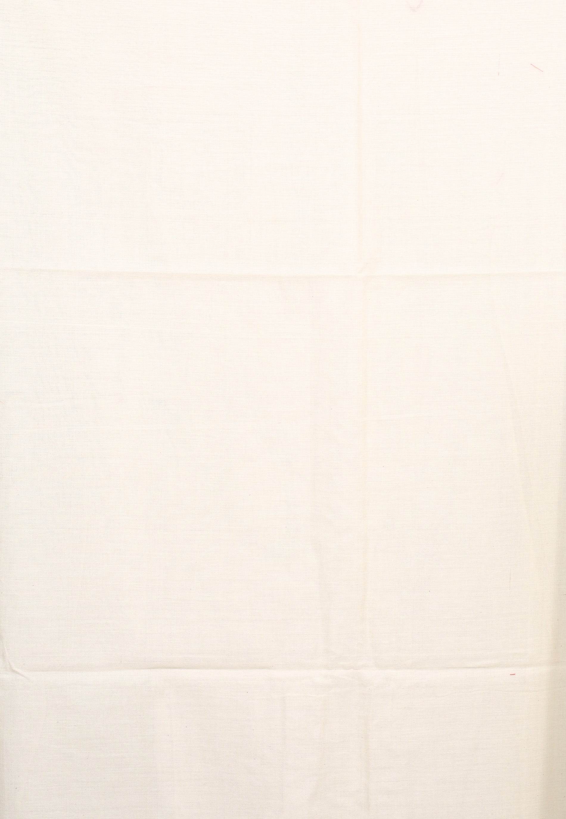 Off White Handloom Saree With Blouse Piece - Adi Akshoy & Co.