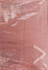 Peach Tissue with Hand Embroidery work Saree with Blouse Piece - Adi Akshoy & Co.