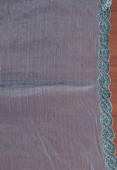 Grey Tissue Embroidery Saree with Blouse Piece - Adi Akshoy & Co.