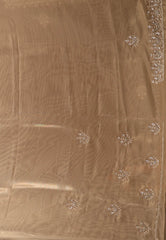 Golden Tissue with Embroidery Border Saree with Blouse Piece - Adi Akshoy & Co.