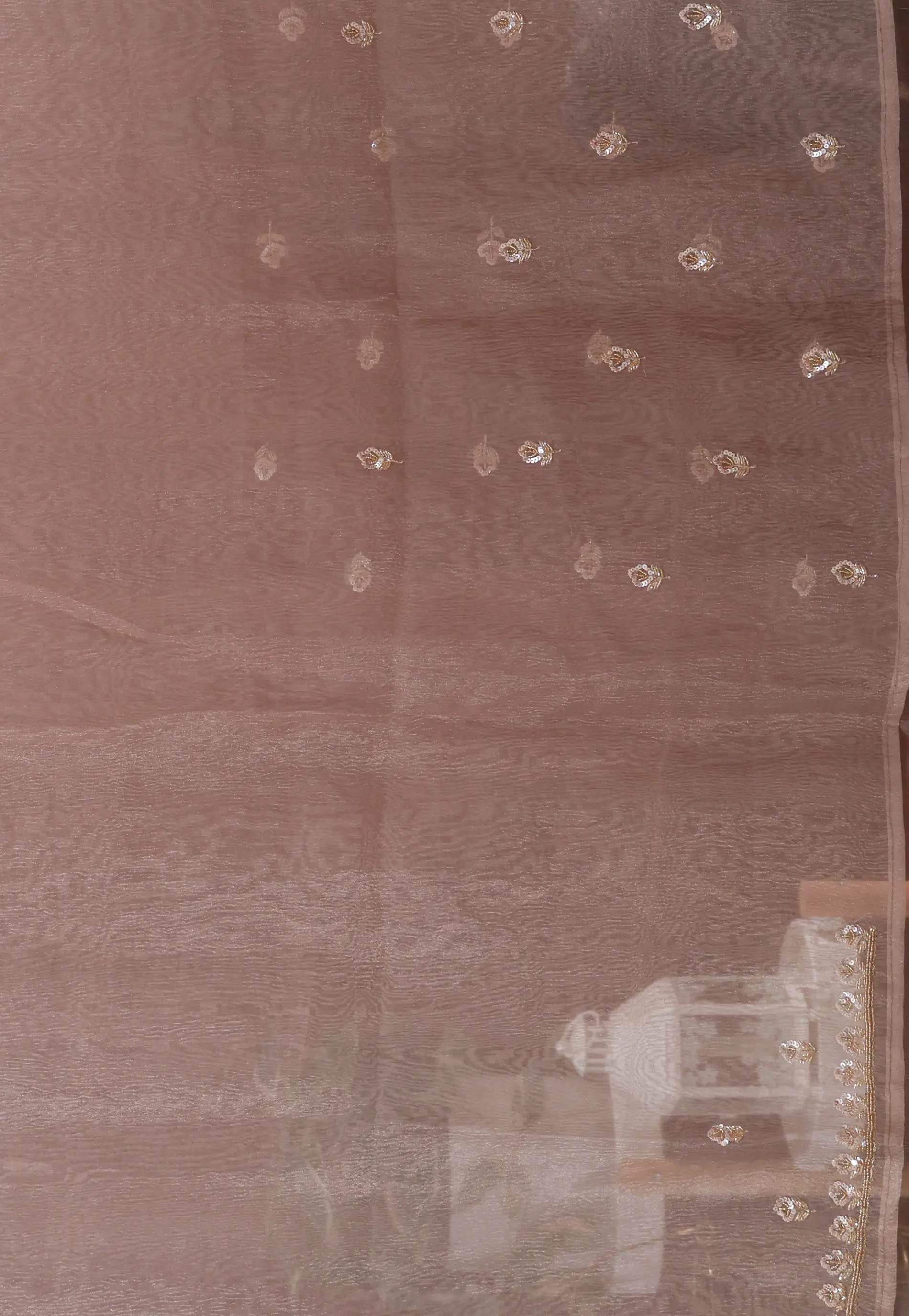 Grey Tissue Embroidery Saree with Blouse Piece - Adi Akshoy & Co.