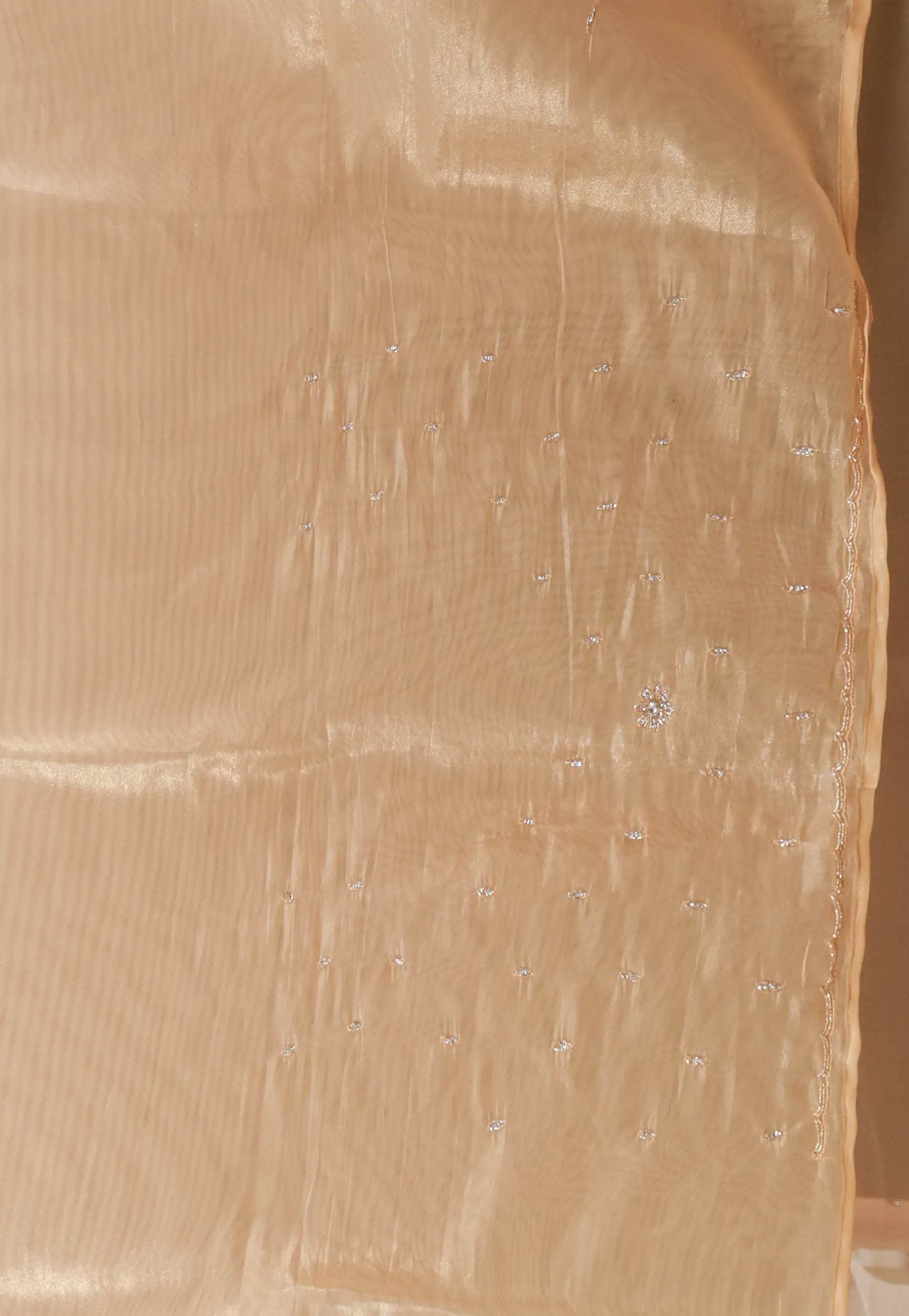 Golden Tissue Embroidery Saree with Blouse Piece - Adi Akshoy & Co.