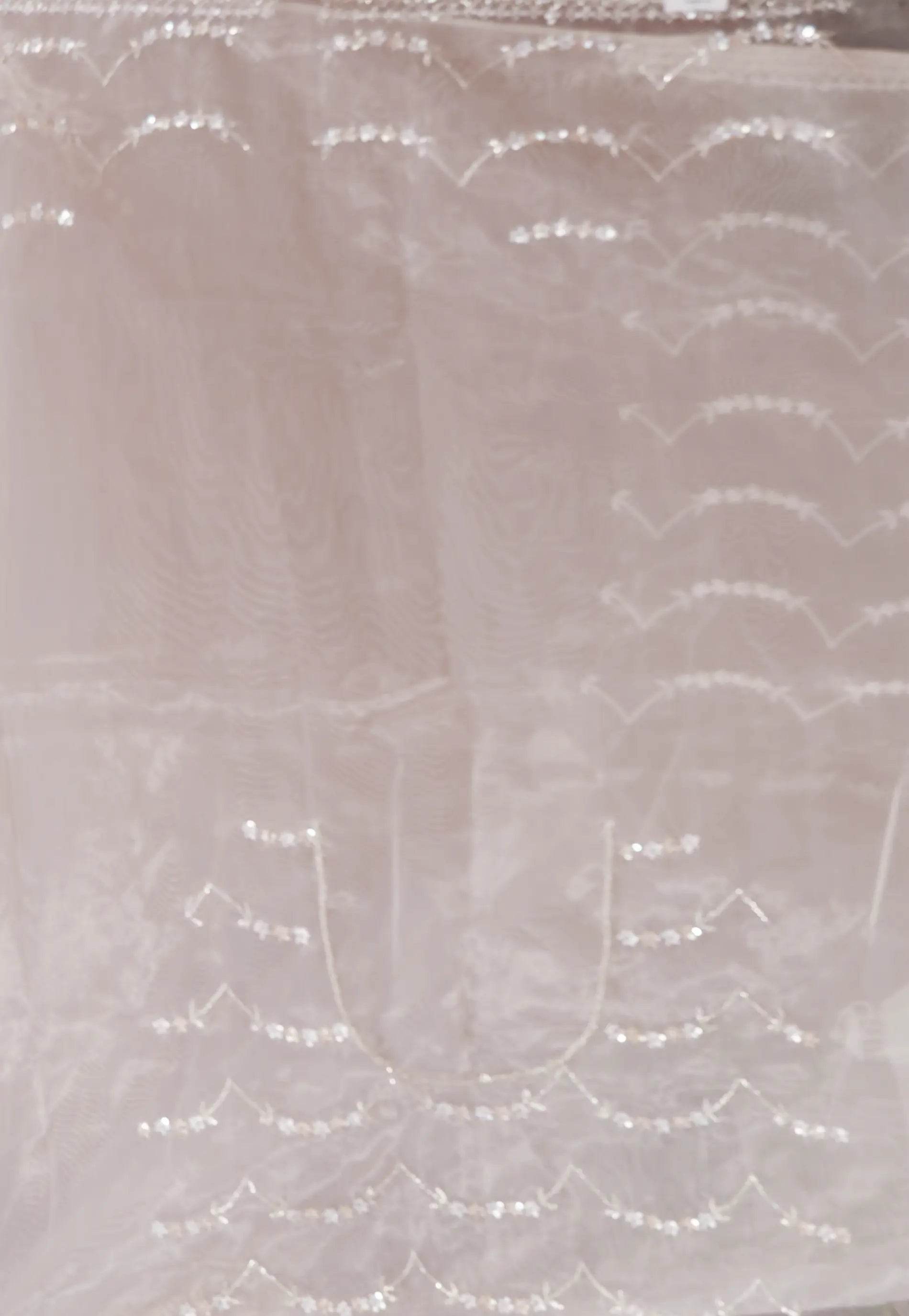 White Organza with hand Embroidery work Saree with Blouse Piece - Adi Akshoy & Co.