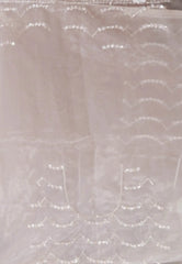White Organza with hand Embroidery work Saree with Blouse Piece - Adi Akshoy & Co.