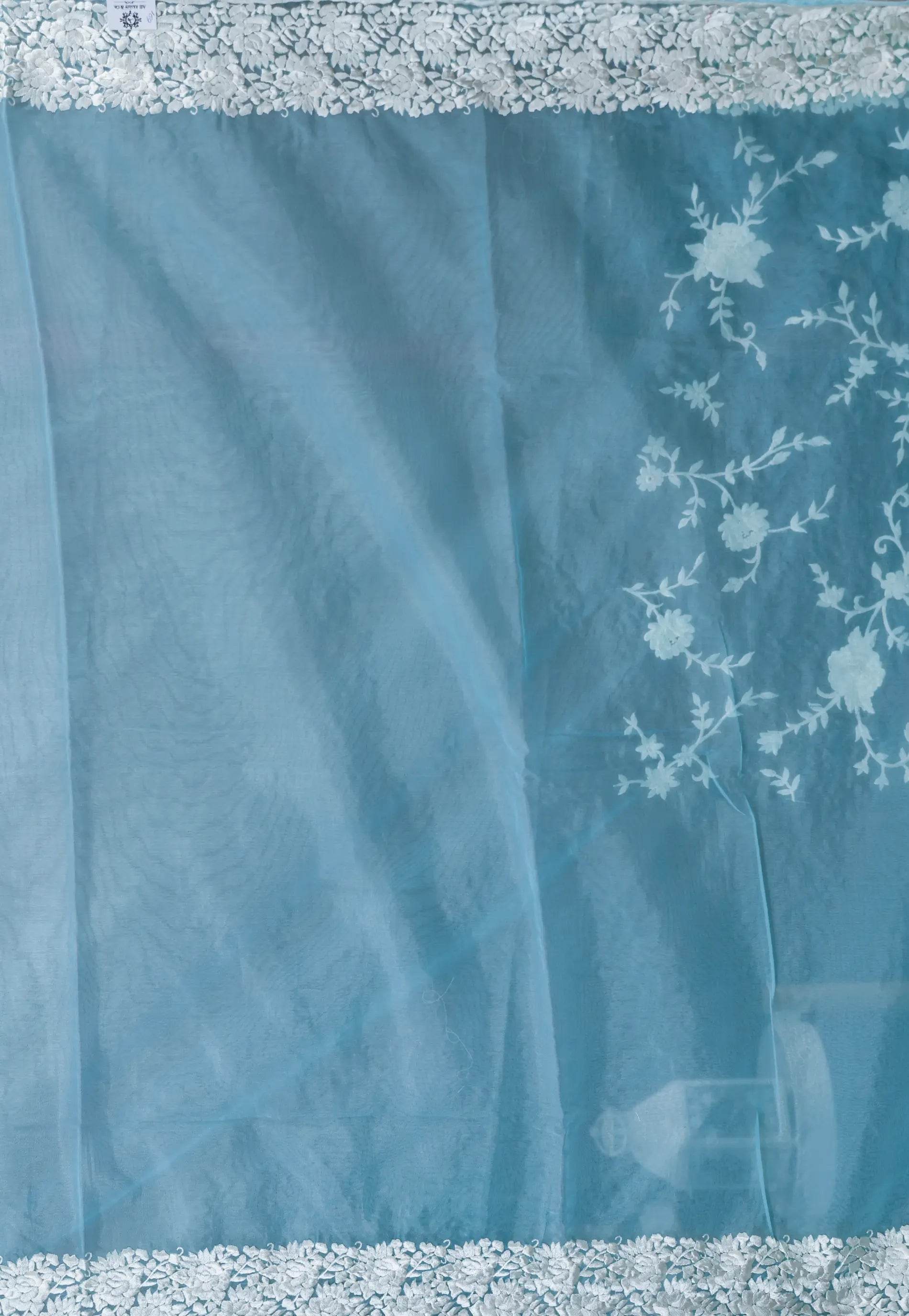 Sky Blue Organza with Resham Embroidery work Saree with Blouse Piece - Adi Akshoy & Co.