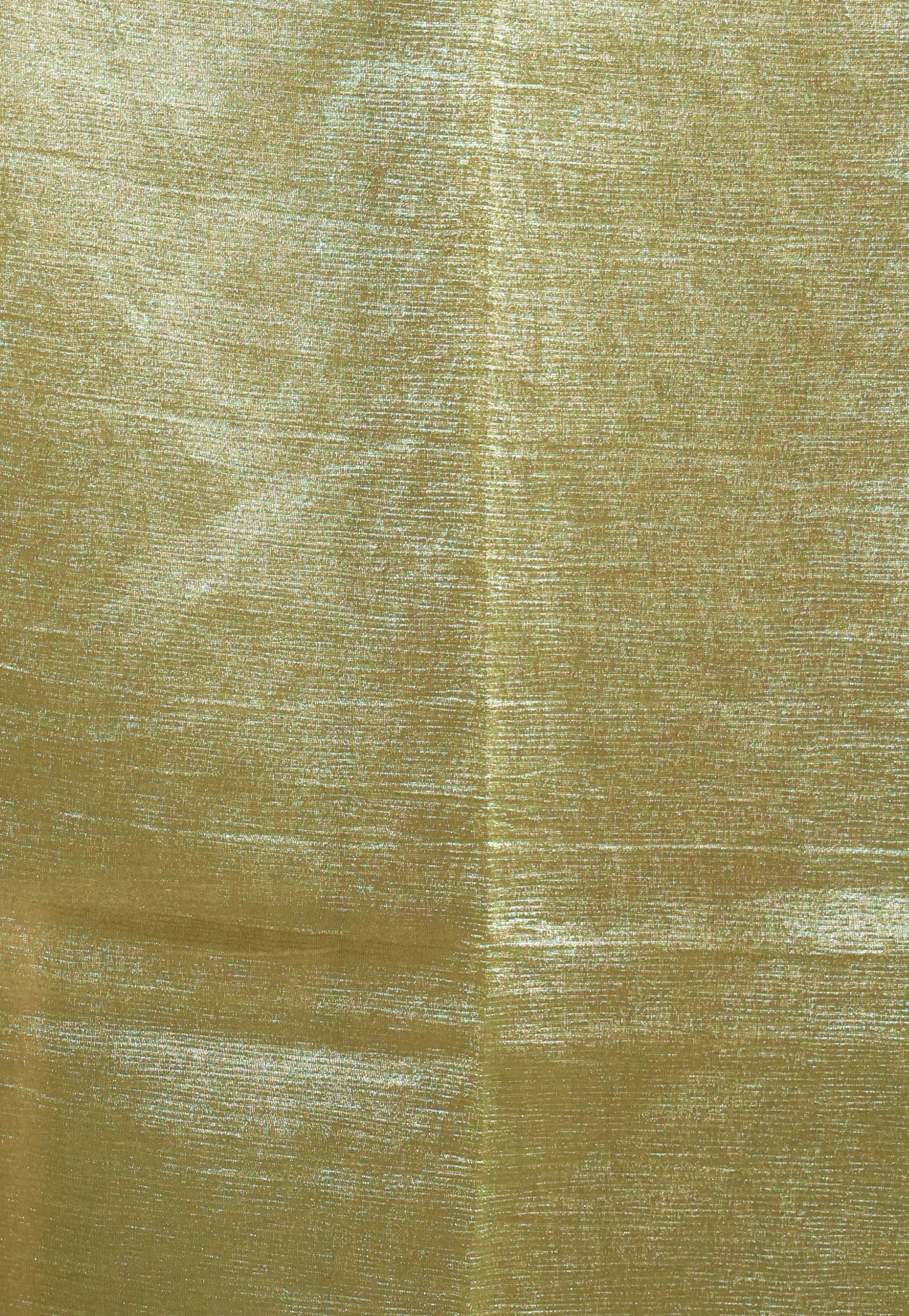 Pista Green Tissue with Resham Embroidery Border Saree with Blouse Piece - Adi Akshoy & Co.