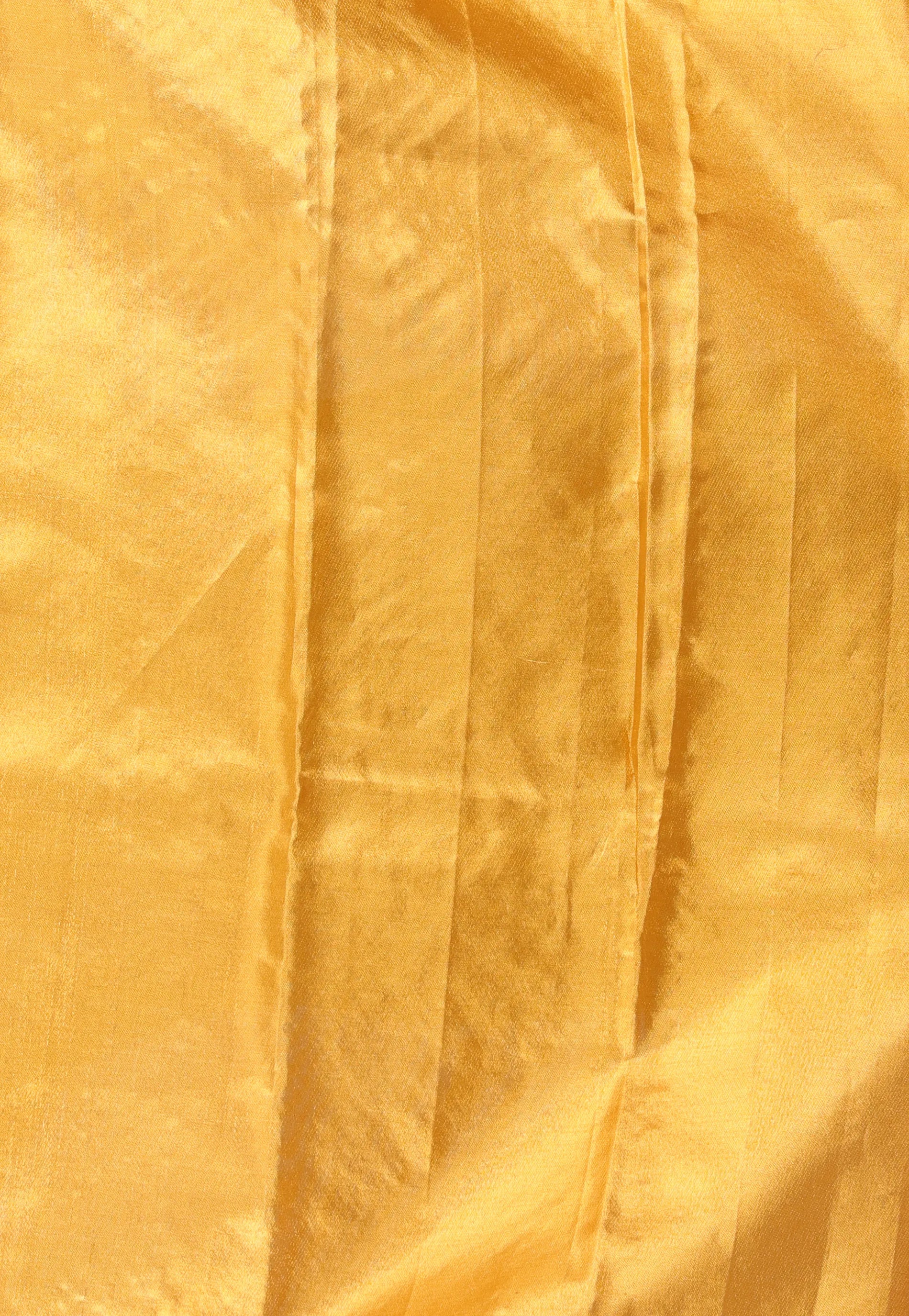 Golden Brocade Pure Tissue Kanjivaram Silk Saree With Blouse Piece - Adi Akshoy & Co.