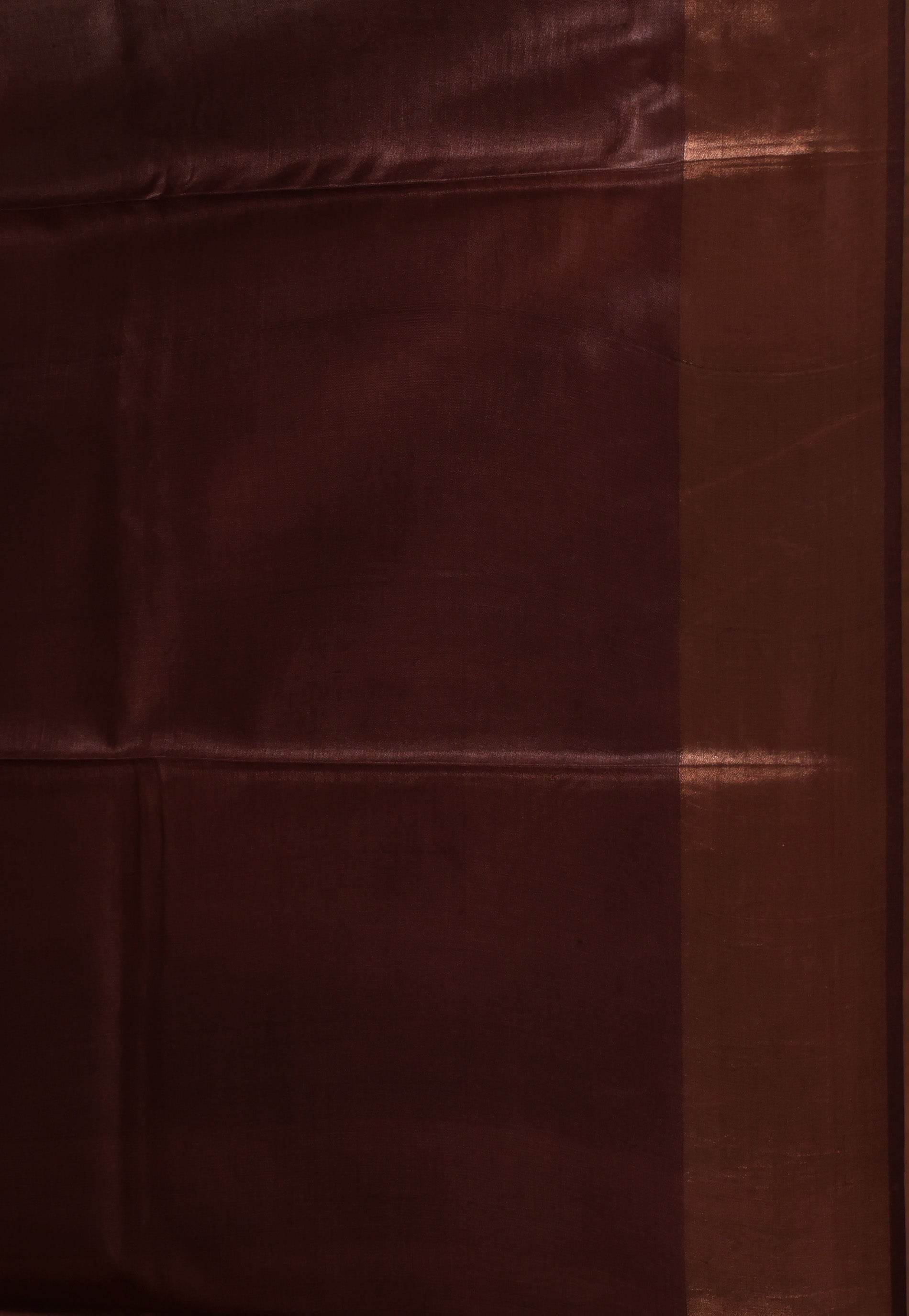 Brown Tussar Pure Silk Saree with Blouse Piece - Adi Akshoy & Co.