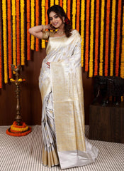 Grey Pastel Banarasi Silk Saree With Blouse Piece - Adi Akshoy & Co.
