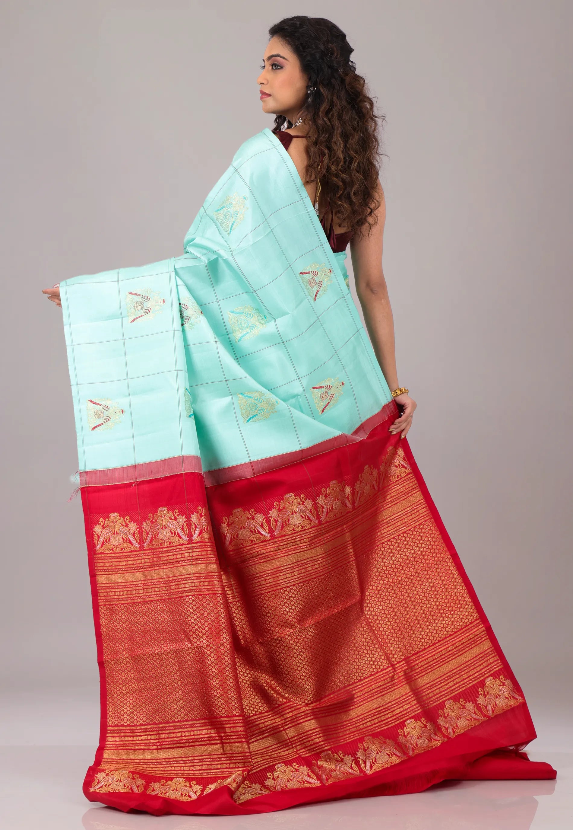 Sky Blue Pure Kanjivaram Silk Saree With Blouse Piece - Adi Akshoy & Co.