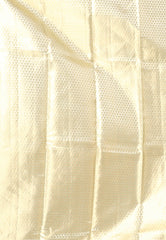 Lime Green Tissue Kanjivaram Pure Silk Saree With Blouse Piece - Adi Akshoy & Co.