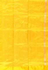 Parrot Green with Yellow Border Kadwa Katan Silk Saree With Blouse Piece - Adi Akshoy & Co.