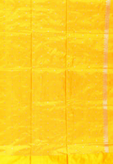 Parrot Green with Yellow Border Kadwa Katan Silk Saree With Blouse Piece - Adi Akshoy & Co.