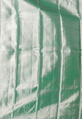 Sea Green Tissue Kanjivaram Pure Silk Saree With Blouse Piece - Adi Akshoy & Co.