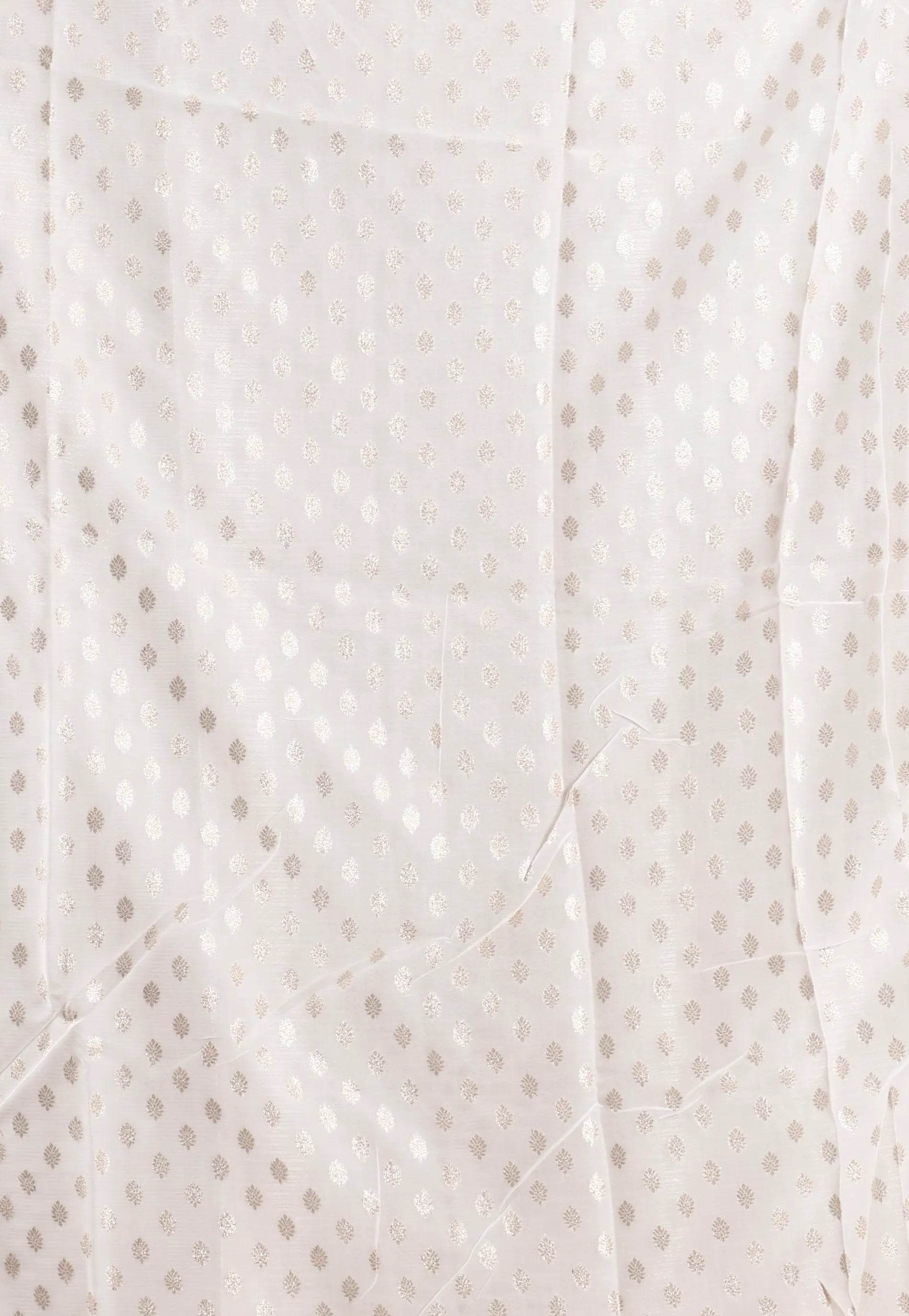 Ivory Tissue Silk Saree with Blouse Piece - Adi Akshoy & Co.