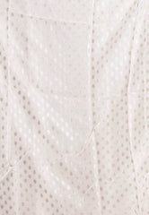 Ivory Tissue Silk Saree with Blouse Piece - Adi Akshoy & Co.