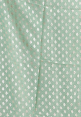 Pastel Green Tissue Silk Saree with Blouse Piece - Adi Akshoy & Co.