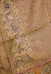 Tussar Colour Exclusive Pure Tissue Silk Saree with Blouse Piece - Adi Akshoy & Co.