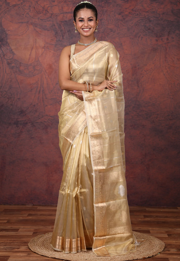 Cross Golden Pure Tissue Katan Silk Saree with Blouse Piece - Adi Akshoy & Co.