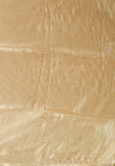 Golden Tissue Embroidery Saree with Blouse Piece