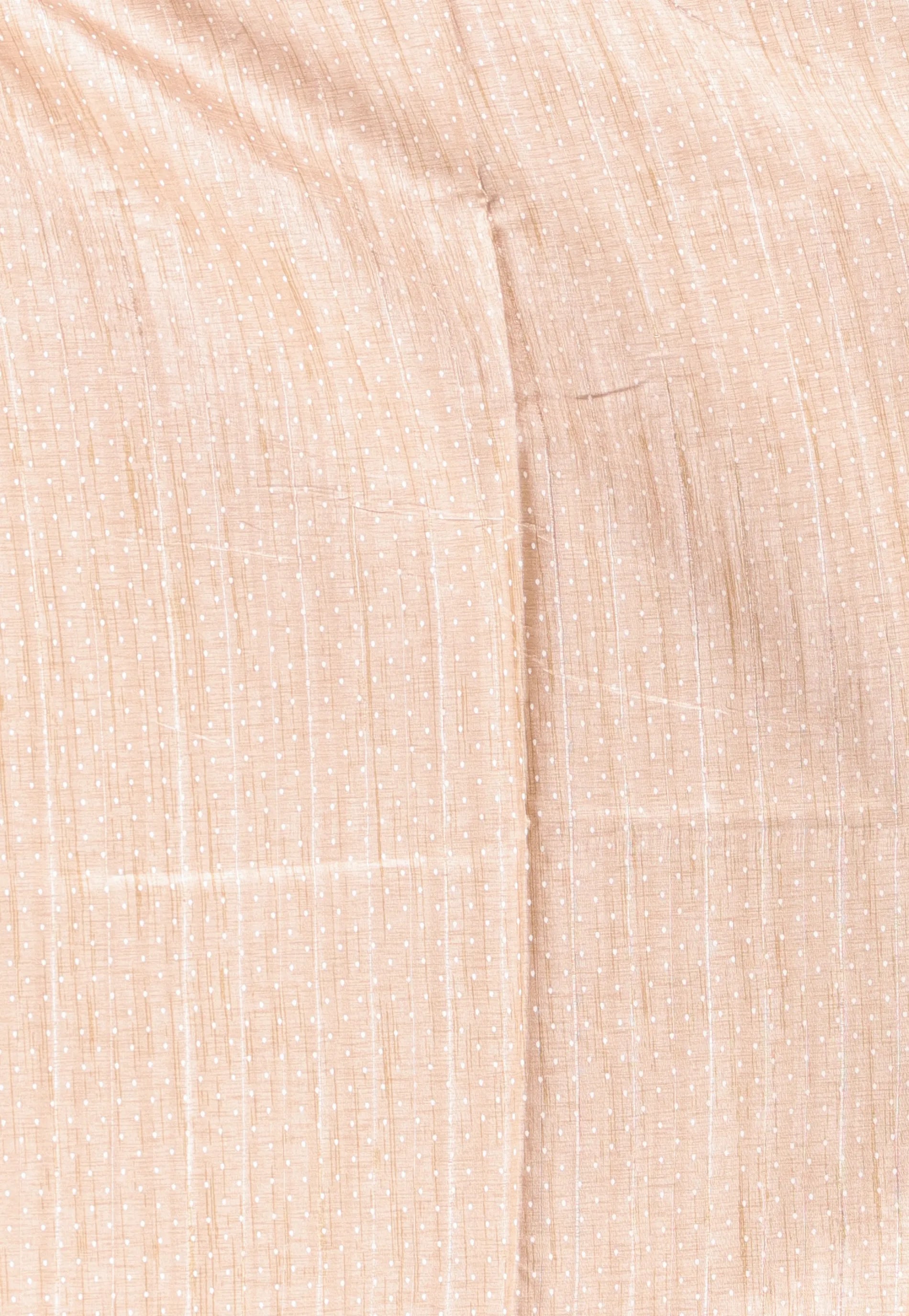 Beige Tussar Silk with Blouse Piece - Adi Akshoy & Co.