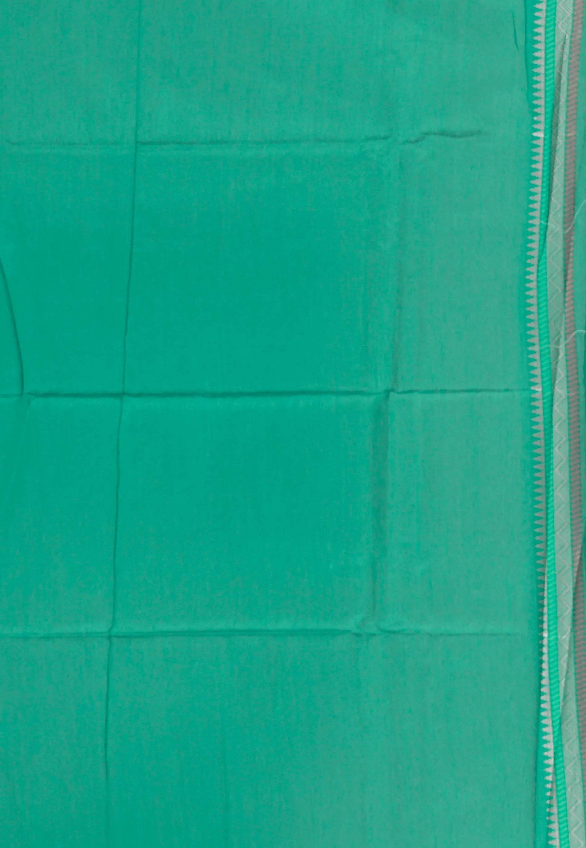 Sea Green Tussar Silk Saree with Blouse Piece - Adi Akshoy & Co.